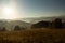 Gorgeous foggy sunrise in mountains. Lovely summer landscape. Flowers on grassy meadows and forested hill in fog.