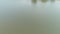Gorgeous footage of a summer landscape at the lake with rippling silky green lake water surrounded by lush green trees