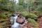 Gorgeous forest in Hecho Valley, Aragonese pyrenees, Huesca province, Spain