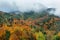 Gorgeous forest in Hecho Valley, Aragonese pyrenees, Huesca province, Spain