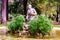 Gorgeous fountain of Moses surrounded by growing juicy plants in Park Borghese in Rome, Italy