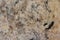 Gorgeous fragile granite texture