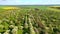 Gorgeous garden with blooming lush apple trees on a sunny day. Cinematic aerial shot