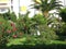 Gorgeous garden in Torrox, Spain