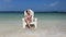 Gorgeous girl relaxing on chair at sandy beach. Summer vacation