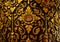 Gorgeous Gold and Black Vintage Thai Pattern on the Teak Lacquered Pillar in Wat Phumin Temple, Nan Province, Thailand