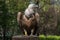 Gorgeous Griffon Vulture outdoors in a spring zoo garden. Predator bird close up.