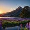 Gorgeous landscape with blooming lupine flowers, New Zealand made with Generative AI