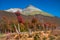 Gorgeous landscape of Patagonia`s Tierra del Fuego National Park