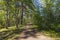 Gorgeous landscape view on beautiful sunny summer day. Green trees and plants on blue sky background.