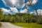 Gorgeous lush green and autumn colored trees along a winding dirt hiking path covered with autumn leaves with blue sky