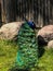 Gorgeous male peacock showing his colored feathers