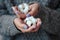 Gorgeous manicure, pastel tender color nail polish, closeup photo. Female hands hold cotton flowers