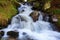 A gorgeous mountain waterfall flows among green forest.