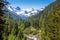 The gorgeous nature of the Roseg Valley Engadin, GraubÃ¼nden, Switzerland