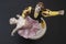 Gorgeous old figurine of a ballerina and her partner performing the adagio (slow part of the dance).