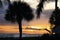 A gorgeous orange sunset with silhouettes of palm trees in the foreground in Ft.Myers Beach, Florida.