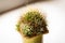 Gorgeous prickly cactus on a light background . Close up.