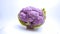Gorgeous purple cauliflower on a white background.