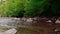 Gorgeous relaxing shot of river in forest.