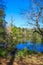 A gorgeous rippling blue lake surrounded by lush green trees and plants and bare winter trees with clear blue sky