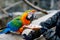 Gorgeous school kid boy feeding parrots in zoological garden. Child playing and feed trusting friendly birds in zoo and