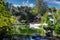 A gorgeous shot of a Chinese garden with lush green trees and plants, a silky green lake