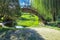 A gorgeous shot of a high arching wooden bridge over a deep green lake with lush green trees and green grass blue sky and clouds