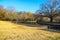 A gorgeous shot of a lake with a water fountain in the park near an arched cobble stone bridge