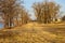 A gorgeous shot of a long stretch of yellow winter colored grass and rows of bare trees in the park along the Mississippi river