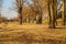 A gorgeous shot of a long stretch of yellow winter colored grass and rows of bare trees in the park along the Mississippi river