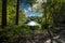 A gorgeous shot of a majestic water fountain in the middle of still lake water with lush green and autumn colored trees and plants