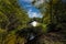 A gorgeous shot of a majestic water fountain in the middle of still lake water with lush green and autumn colored trees and plants