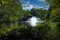 A gorgeous shot of a majestic water fountain in the middle of still lake water with lush green and autumn colored trees and plants