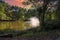 A gorgeous shot of a majestic water fountain in the middle of still lake water with lush green and autumn colored trees and plants