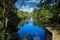 A gorgeous shot of a majestic water fountain in the middle of still lake water with lush green and autumn colored trees and plants