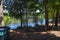 A gorgeous shot of a rippling green lake water with tall slender lush green trees on the banks of the lake at Peachtree Lake