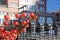 A gorgeous shot of rows of red Chinese lanterns hanging from black cables with a blue sky and red brick buildings