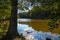 A gorgeous shot of the still brown lake waters with lush green and autumn colored trees on the banks of the lake with blue sky