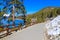 A gorgeous smooth concrete paved hiking trail with a burnt orange wooden fence along the trail with lush green pine trees and snow