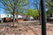 A gorgeous spring day in the Marietta Square with a red brick footpath surrounded by lush trees and black metal benches