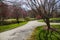 A gorgeous spring landscape in the garden with ponds surrounded by footpaths and lush green trees and grass, red trees