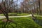 A gorgeous spring landscape in the garden with ponds surrounded by footpaths and lush green trees and grass, red trees blue sky