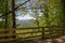 a gorgeous spring landscape with lush green trees and plants and mountains covered in lush green foliage