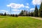 A gorgeous spring landscape in the park with lush green grass, a smooth footpath, lush green trees and plants with blue sky