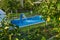 Gorgeous Style Summer Setting with Crystal Clear Swimming Pool, Waterfall, Lush Greenery, Travel, Tourism, Rustic, Relaxation