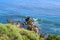 A gorgeous summer landscape at the beach with deep blue ocean water and a lush green hillside and the rock formations