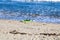 A gorgeous summer landscape at the beach with a yellow and green surfboard laying in the brown sand near the blue ocean water