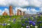 Gorgeous summer landscape with colorful cornflowers and the ruins of an old barn, made of boulders and red bricks