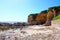 A gorgeous summer landscape at Little Corona del Mar Beach with brown cliffs covered in lush green plants